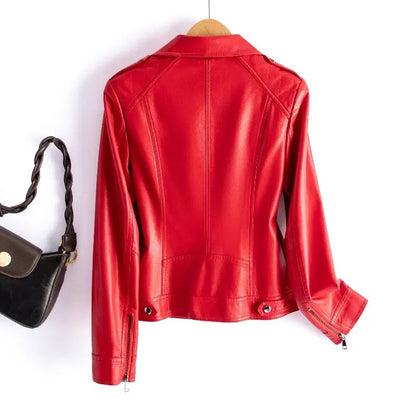 Cremona Leather Moto Jacket