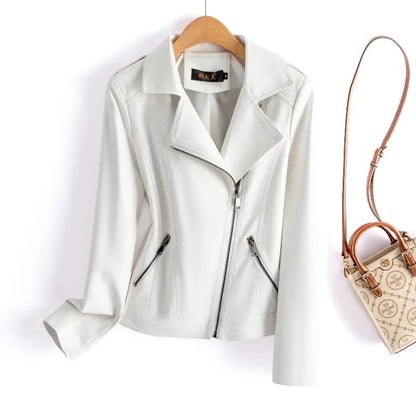 Cremona Leather Moto Jacket