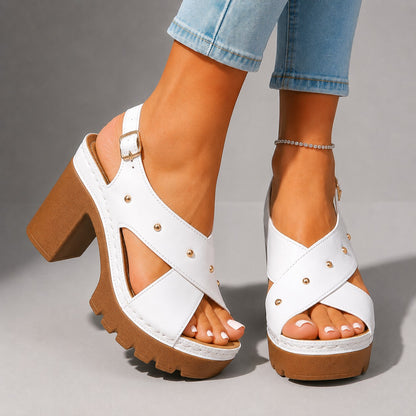 Rochelle Pointed Pumps
